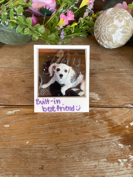 Polaroid Photo Vent Clip
